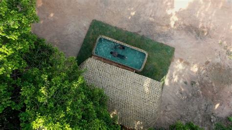 Primitive Pool 的图像结果