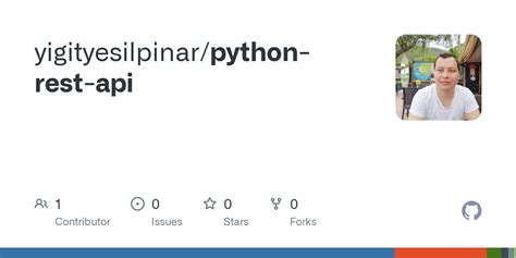 Python REST API 的图像结果