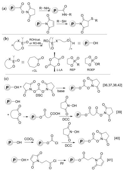 Polymers | Special Issue : Controlled Polymerization