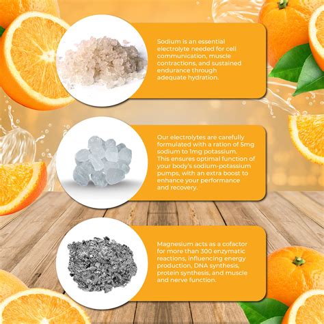 Snapklik.com : Santa Cruz Paleo Electrolyte Powder, Orange Flavor ...