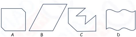 Class 4 Maths - Symmetry - 04 – Olympiad tester