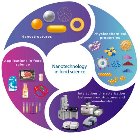 Relationship of Nanomaterials’ Structure Based on Their Application in the Food Industry ...