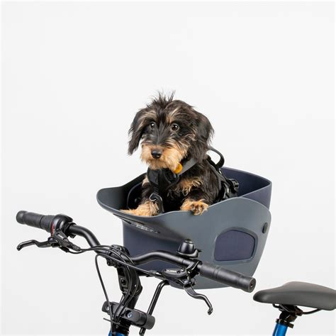 Kvisp | Dog Bike Carrier | The Best Dog Basket to Bike With Your Dog ...