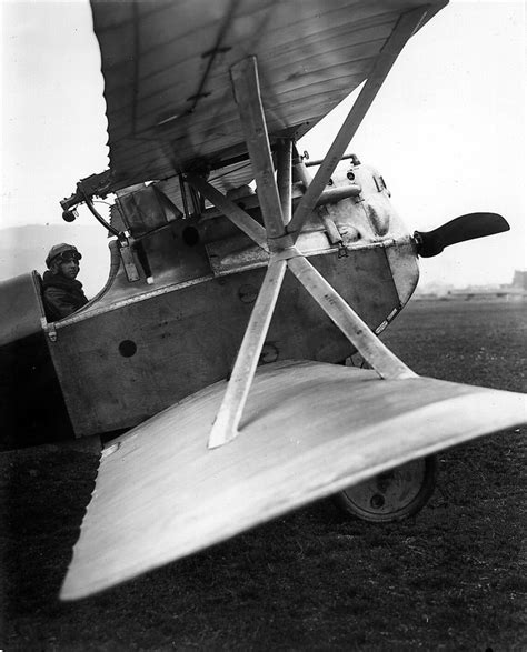 Image result for Star Strutter