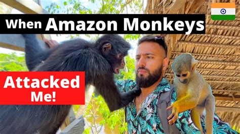 Image result for Monkey Blog