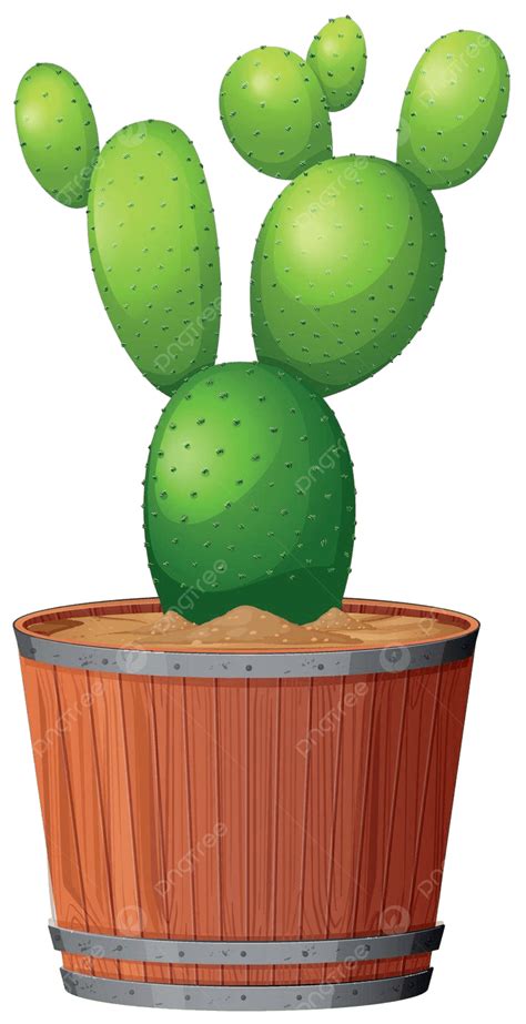 Cactus Plant In Pot Pot Plant Clip Art Vector, Pot, Plant, Clip Art PNG ...