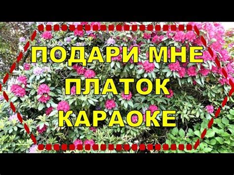 ПОДАРИ МНЕ ПЛАТОК Караоке на баяне - YouTube