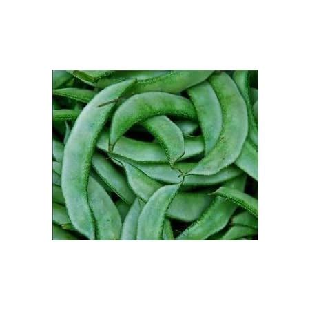 Creative Farmer Vegetable Seeds Sem Seeds - Dolichos Beans Seeds Rare ...