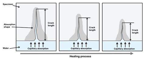 Autogenous Healing of Early-Age Cementitious Materials Incorporating ...