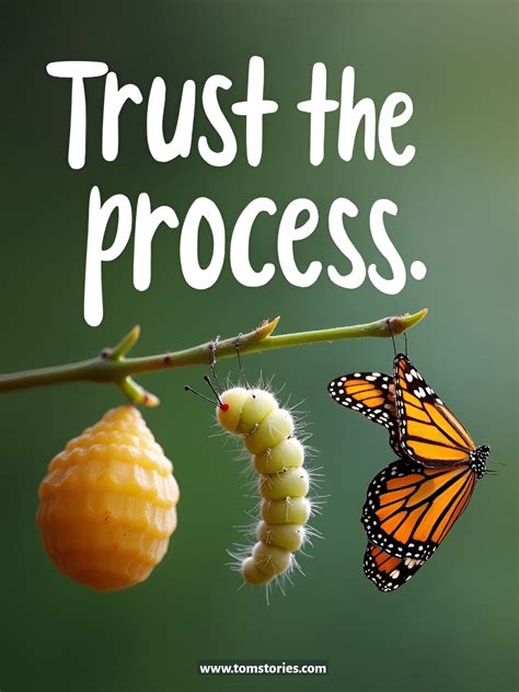 Trust the Process | Inspirational quotes, Life quotes, Motivational quotes
