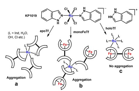 Controversial Role of Transferrin in the Transport of Ruthenium ...