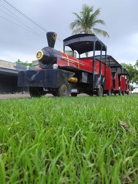 Electric Trackless Train Manufacturer, Supplier from Bhopal