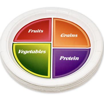 Best foods for weight loss & Improving Disc Bulge – Nutrisage India