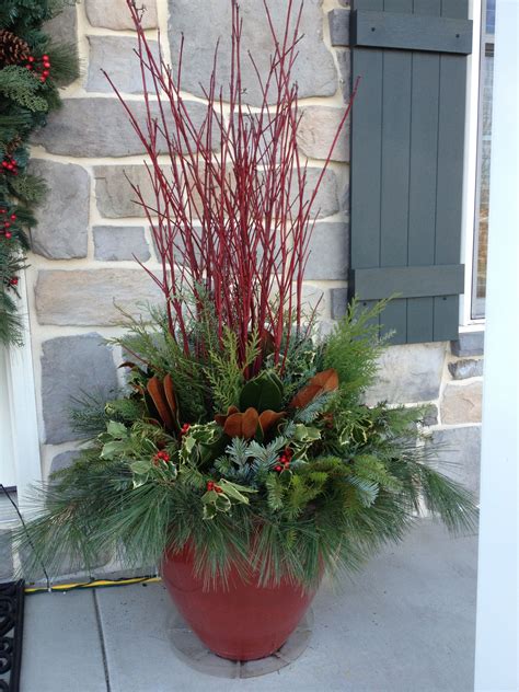 Winter, Christmas container garden, red pot, red twig dogwood, magnolia ...