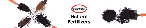 Amazon.in: Pepper Agro: Fertilizers