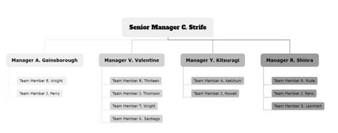 Organizing Example 的图像结果