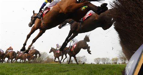 Biggest ever team of Irish-trained horses line up for Aintree Grand ...