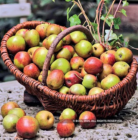 Calvados France: How calvados, the apple brandy from France, found its ...