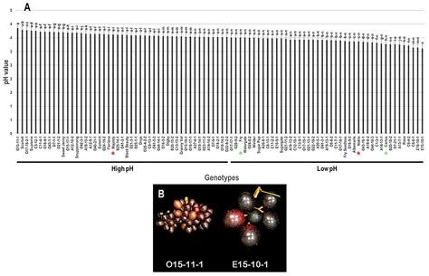 Evaluation of Biochemical Juice Attributes and Color-Related Traits in ...