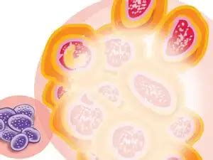 Bacteria and virus: Differences you need to know - The Economic Times