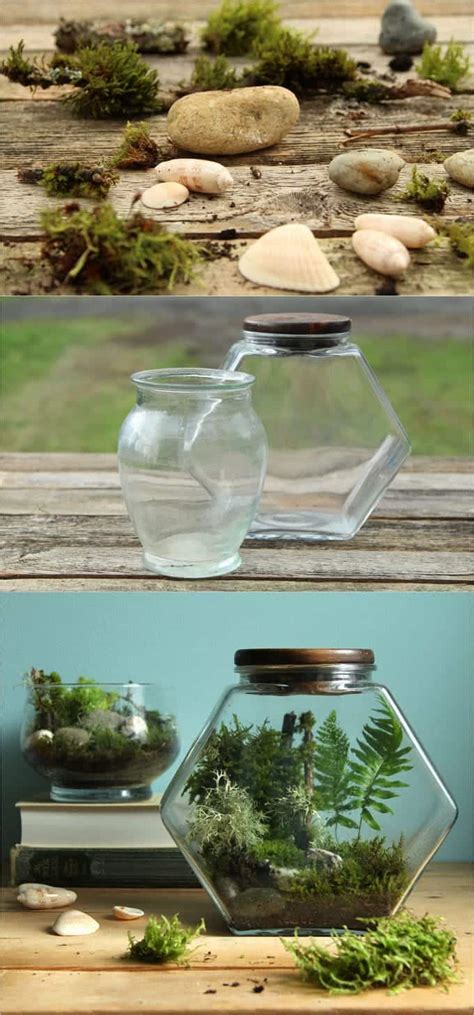 Image result for Terrarium Making111