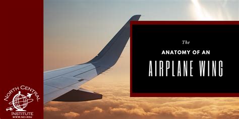 AMBIL SEKARANG