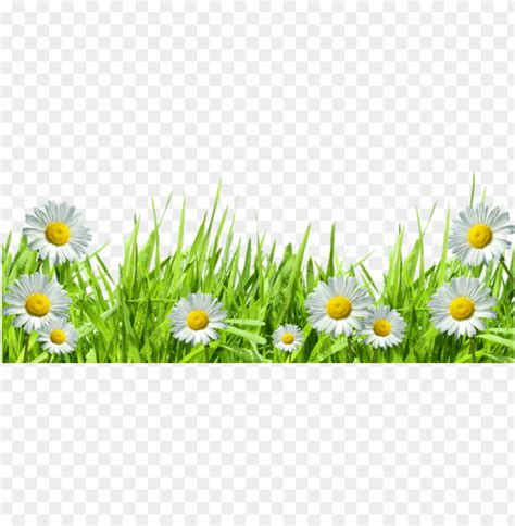 Image result for Spring Picture Border Texture PNG
