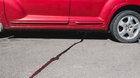 Why Does My Car Smell Like Gas? 8 Possible Reasons - Motorborne
