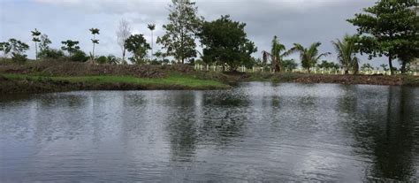 Shah Farms Agri Tourism Pune - Top Rated Resort in Pune