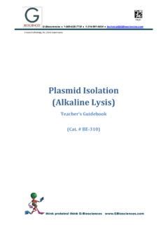 Plasmid Isolation 的图像结果