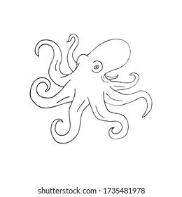 Octopus Software without Box 的图像结果