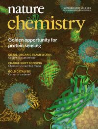 Nature Chemistry 的图像结果