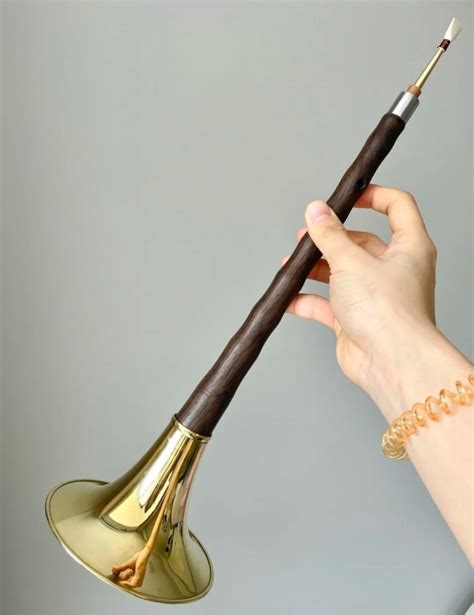 Image result for Chinese Stringed Instruments