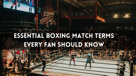 Essential Boxing Match Terms Every Fan Should Know