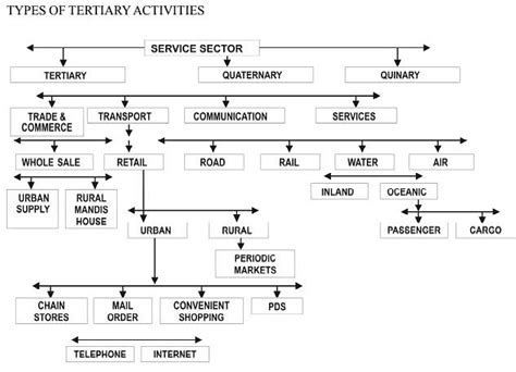 Tertiary And Quaternary Activities Class 12 Geography