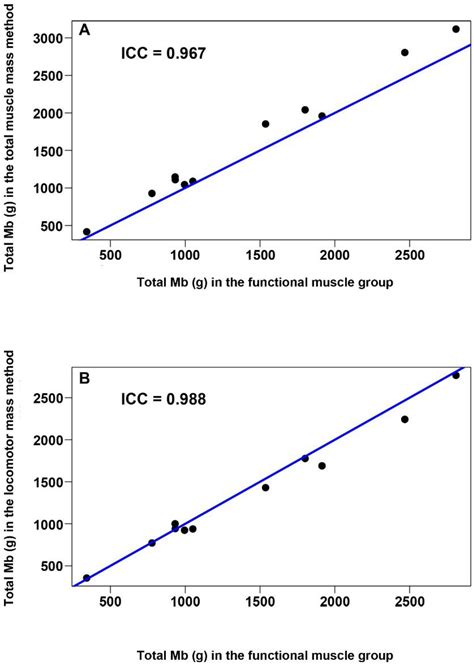 Myoglobin Concentration and Oxygen Stores in Different Functional ...