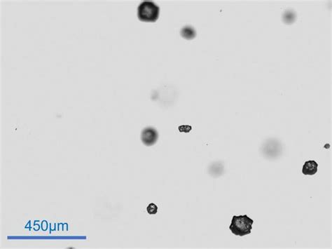 Diffraction Laser 的图像结果