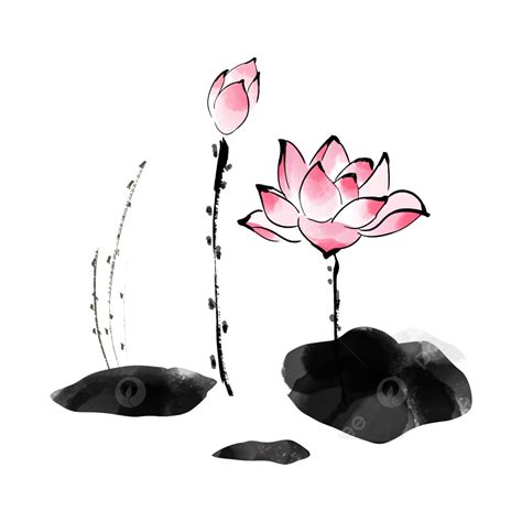 Lotus Flower Bomb Drawing
