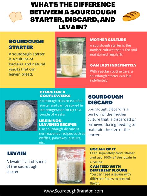 What's the Difference Between Sourdough Starter, Discard, and Levain ...