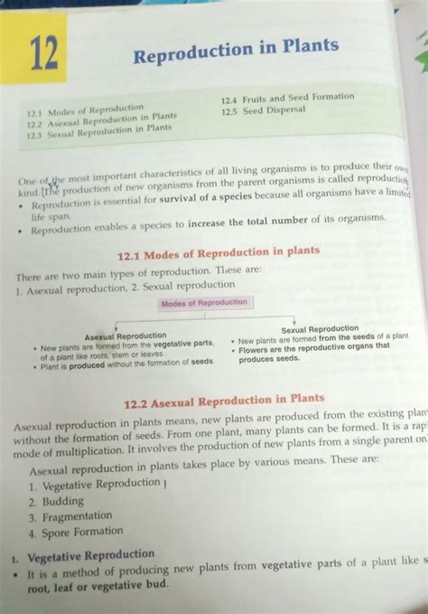 Can anyone explain this chapter to me.if you will explain this nicely I ...