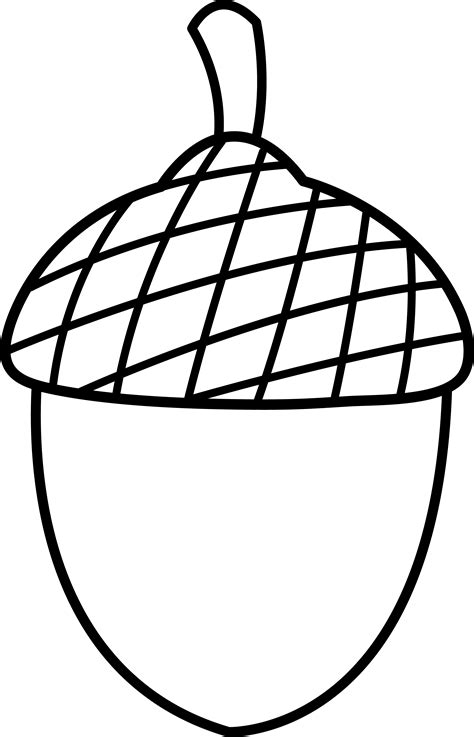Acorn Coloring Page at GetColorings.com | Free printable colorings ...