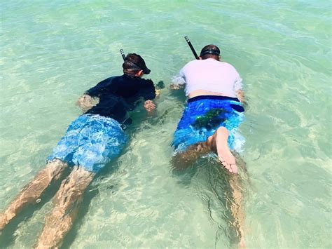 Image result for Shell Key Preserve