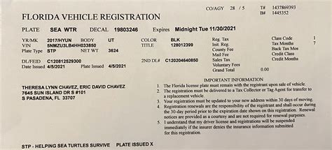 Where Is Your Florida Vehicle Registration Number - Free Math Worksheet ...