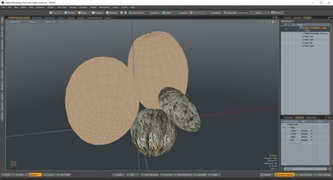 Peeled Rambutan Fruit with Seeds 3D | 3D Molier International