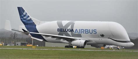 Airbus Beluga XL - Price, Specs, Photo Gallery, History - Aero Corner