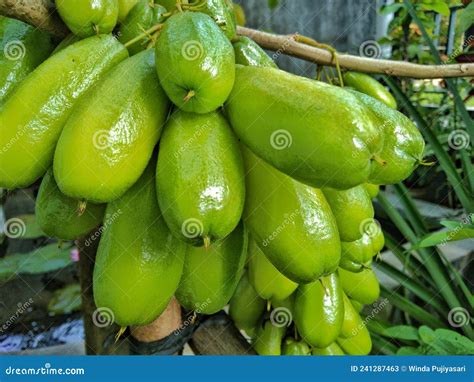 What Does Star Fruit Taste Like