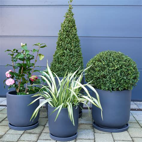 Buy Clay Garden Conservatory Planters With Saucers - Candle And Blue