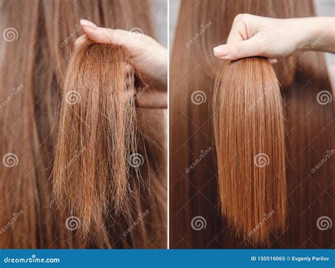 Sick, Cut and Healthy Hair Care Keratin. before and after Treatment Stock Image - Image of ...