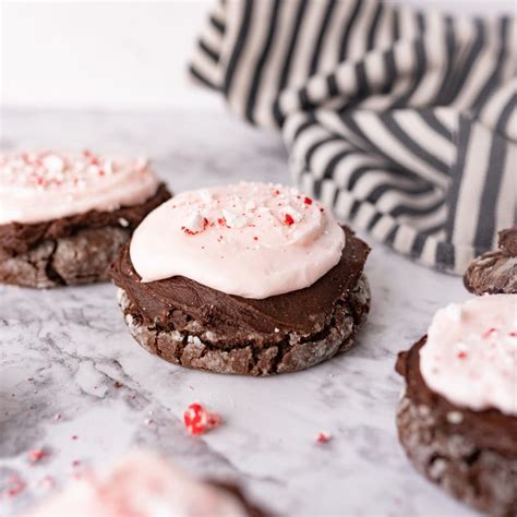 Chocolate Peppermint Crinkle Cookie Recipe - Cooking With Karli