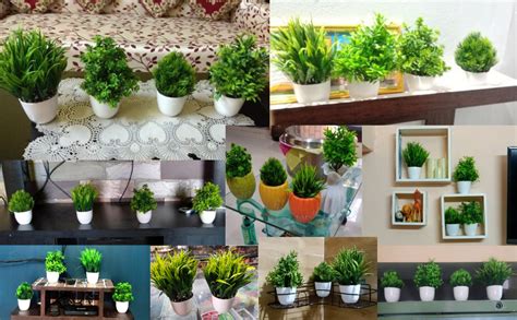 Buy AKP Plastic Artificial Plants For Home Decor -Best Different Types ...